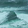 Wave 6
